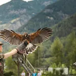 Ban Broesign Umhausen