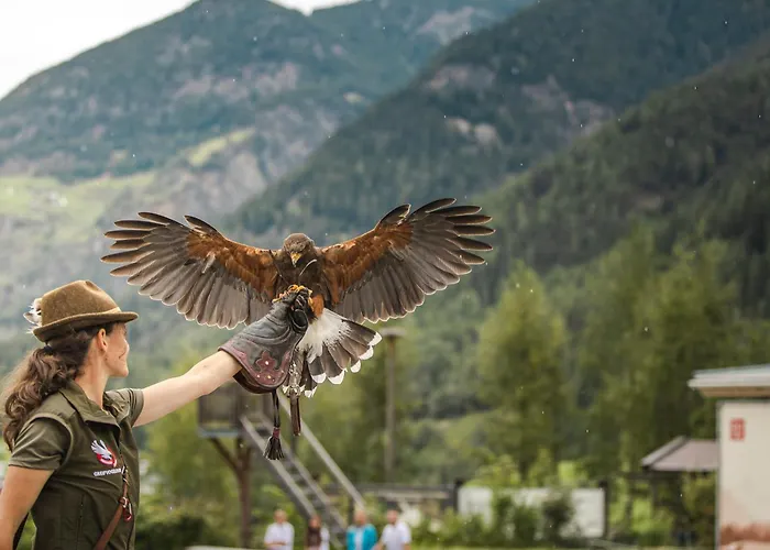 Ban Broesign Umhausen